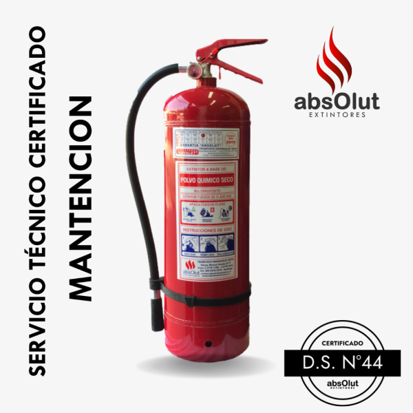 Mantencion Extintor PQS ABC 6Kg/ DS44