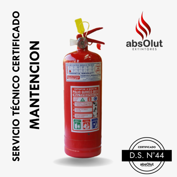 Mantencion Extintor PQS ABC 2Kg/ DS44