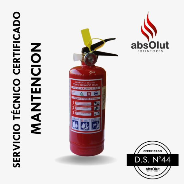 Mantencion Extintor PQS ABC 1Kg/ DS44